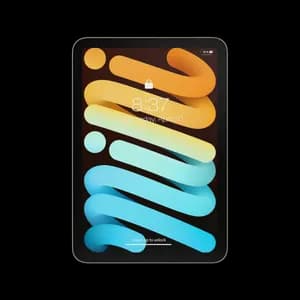iPad Mini